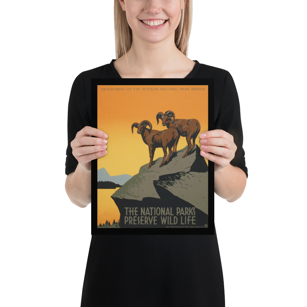 Person holding a framed poster with mountain goats and text on a white background