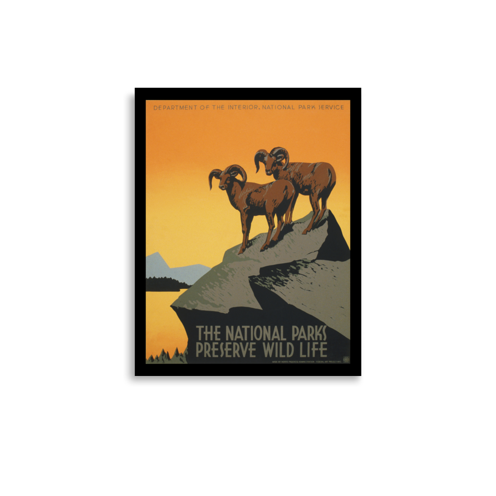 Framed poster with two rams on a mountain and 'The National Parks Preserve Wildlife' text.