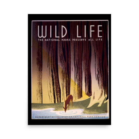 Poster with 'Wild Life' text and a forest scene with a deer.