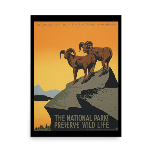 Poster with two rams on a rock against an orange sky, featuring the National Parks logo.