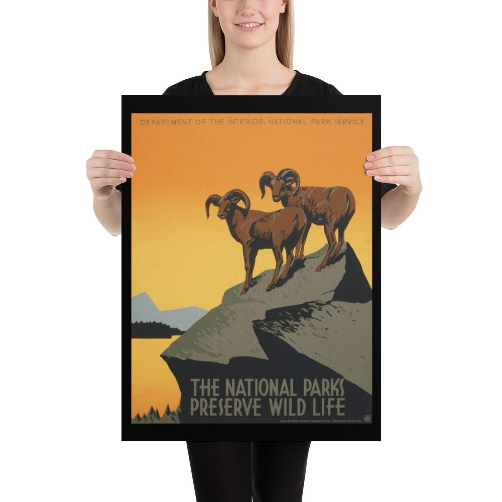 Person holding a framed poster with mountain goats and 'National Park Service' text.
