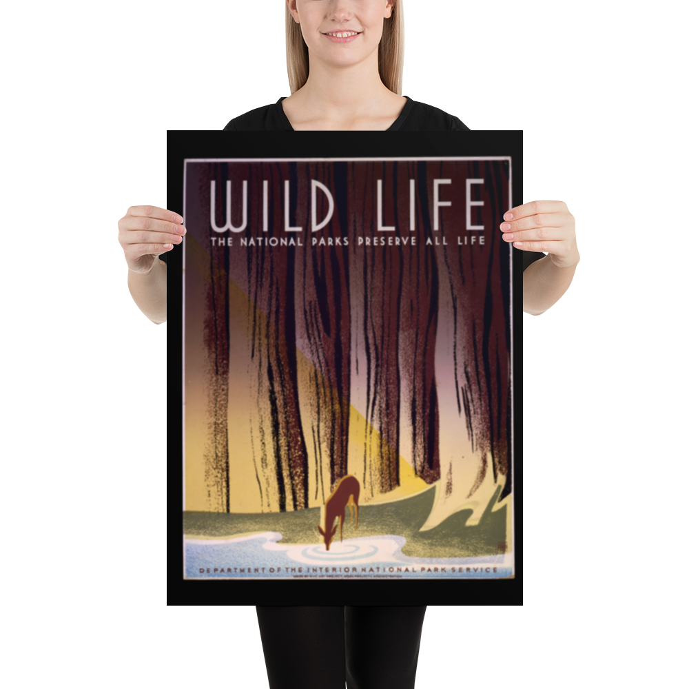 Person holding a framed poster with 'Wild Life' and nature-themed design.